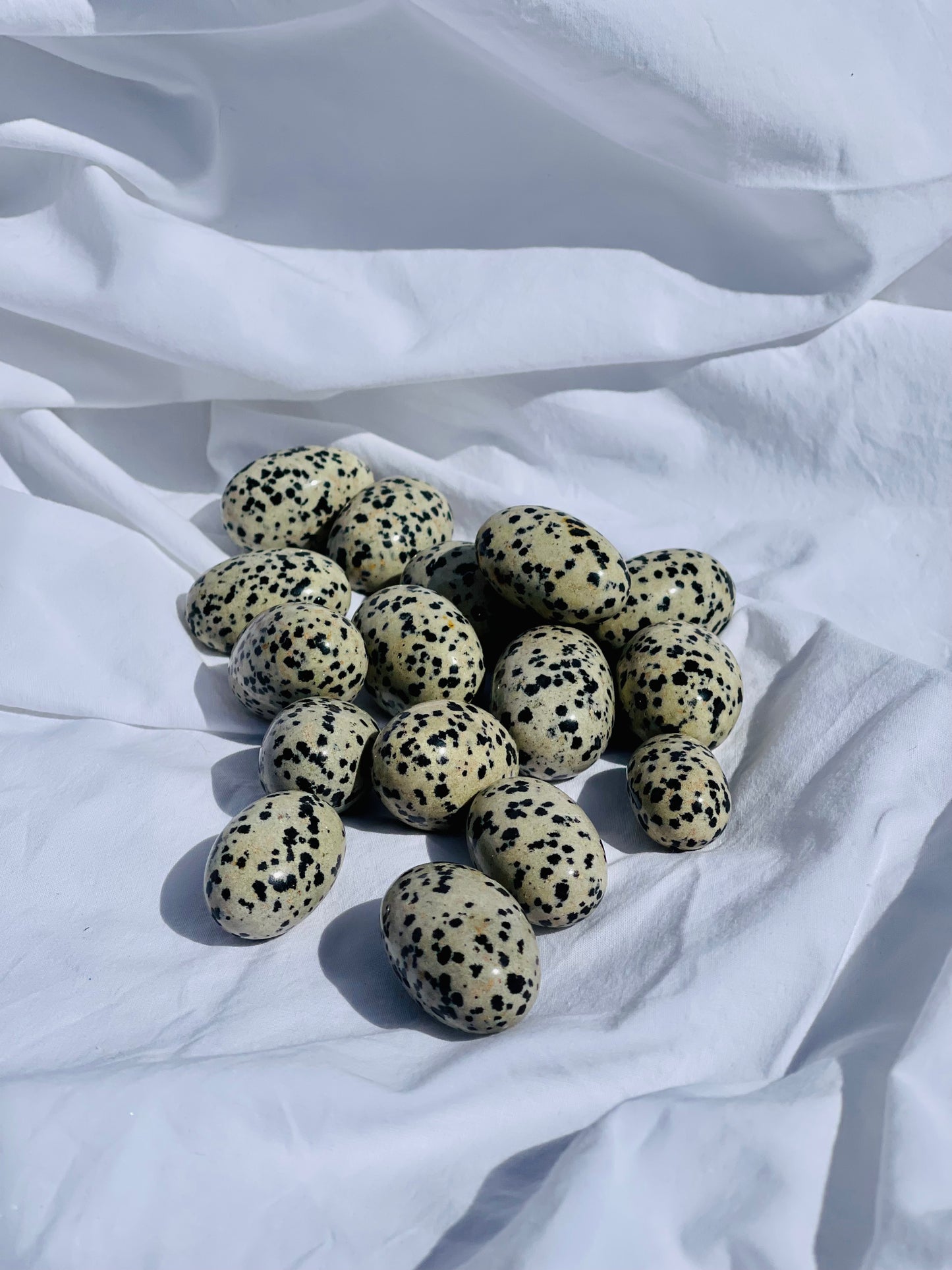 Dalmatian Jasper Tumble