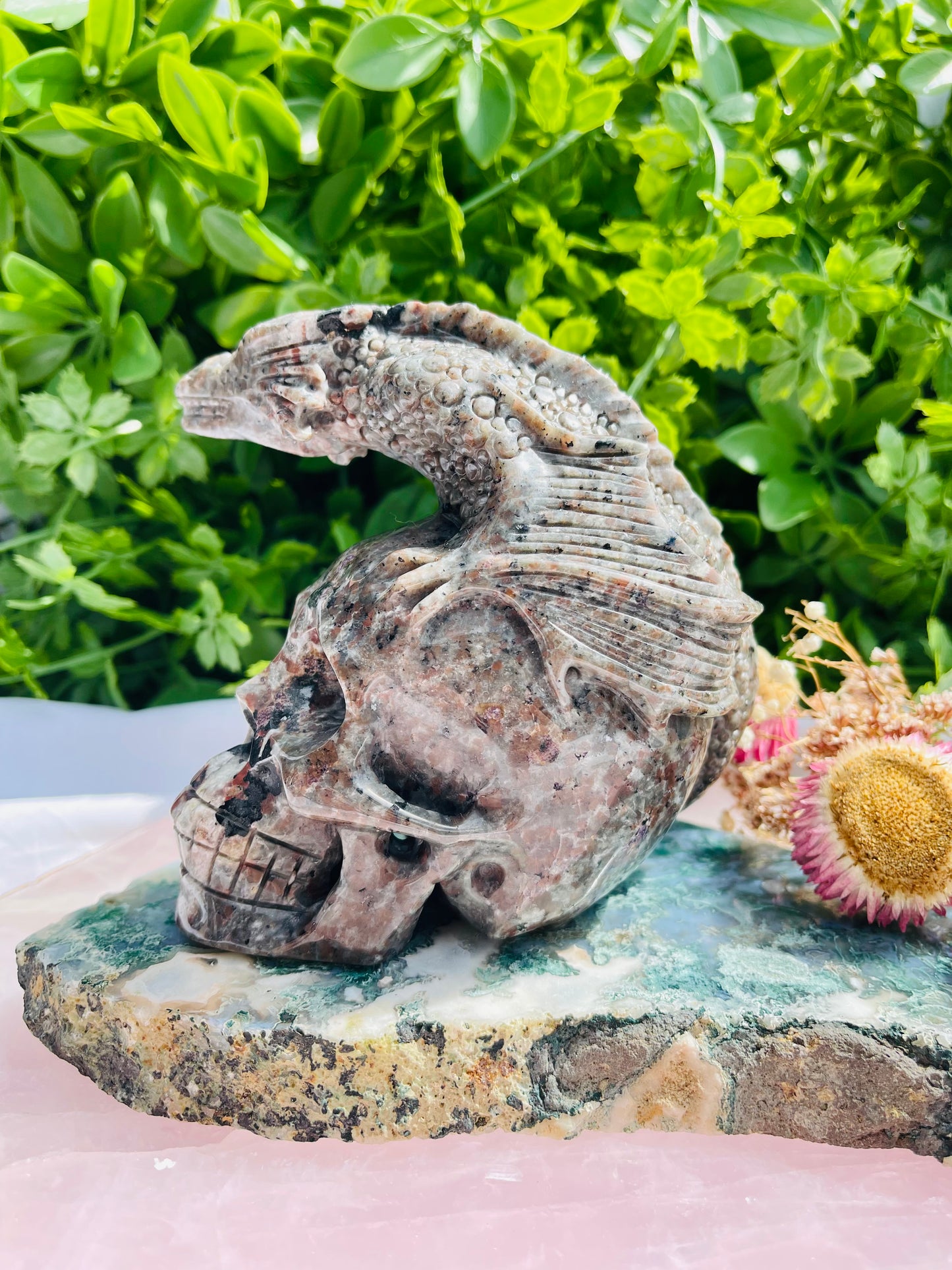 Yooperlite Skull With Dragon