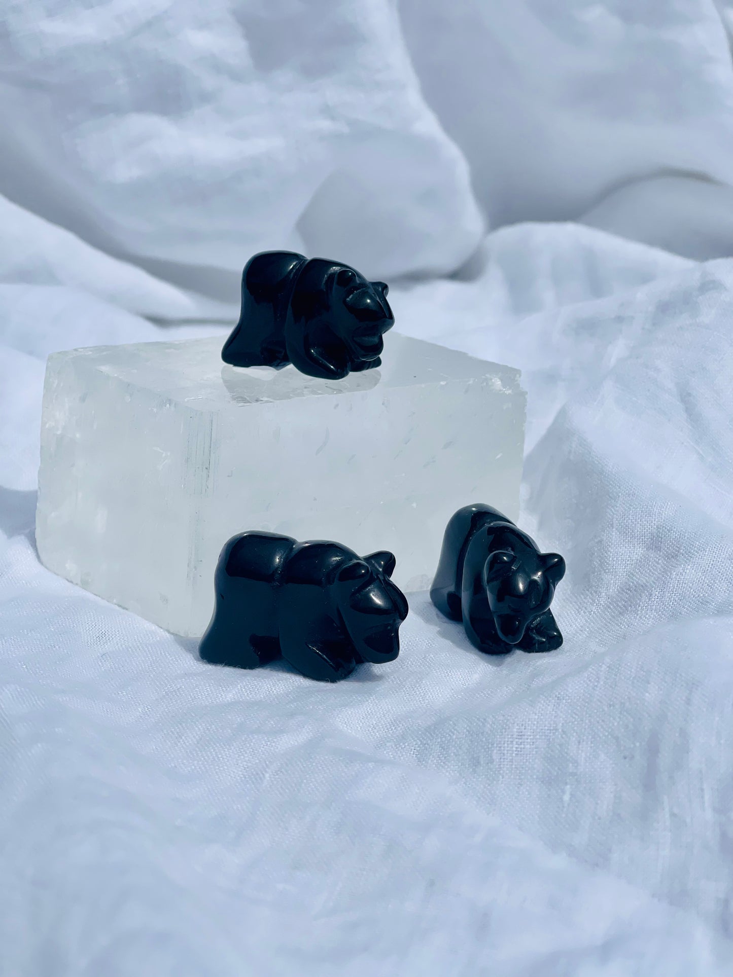 Black Obsidian Bear