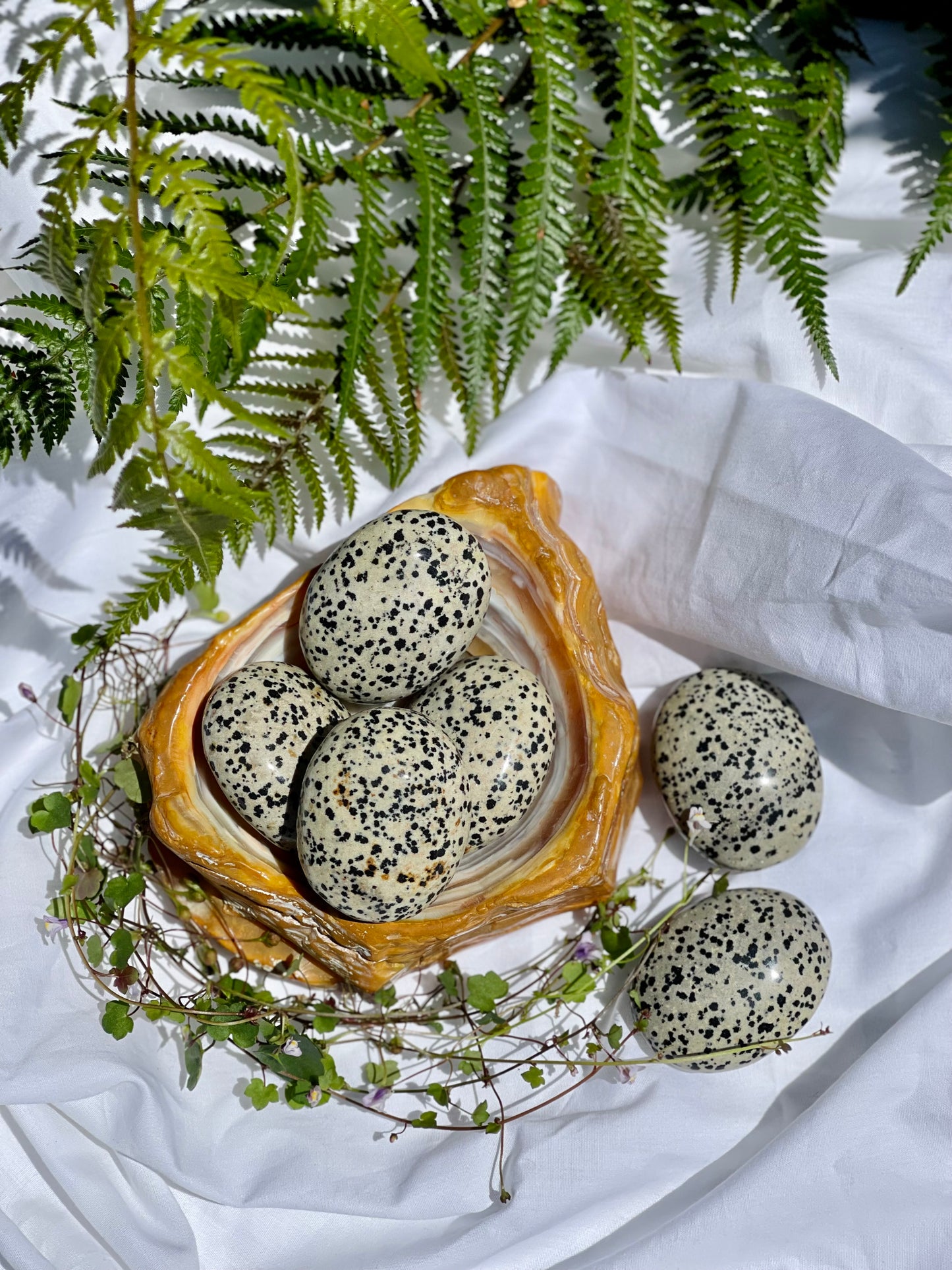 Dalmatian Jasper Palmstone