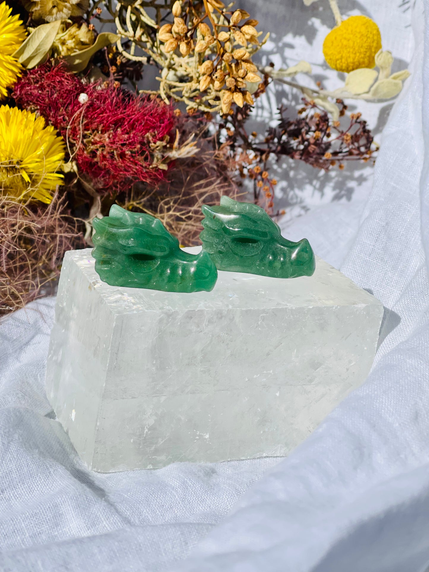 Mini Dragon Head's