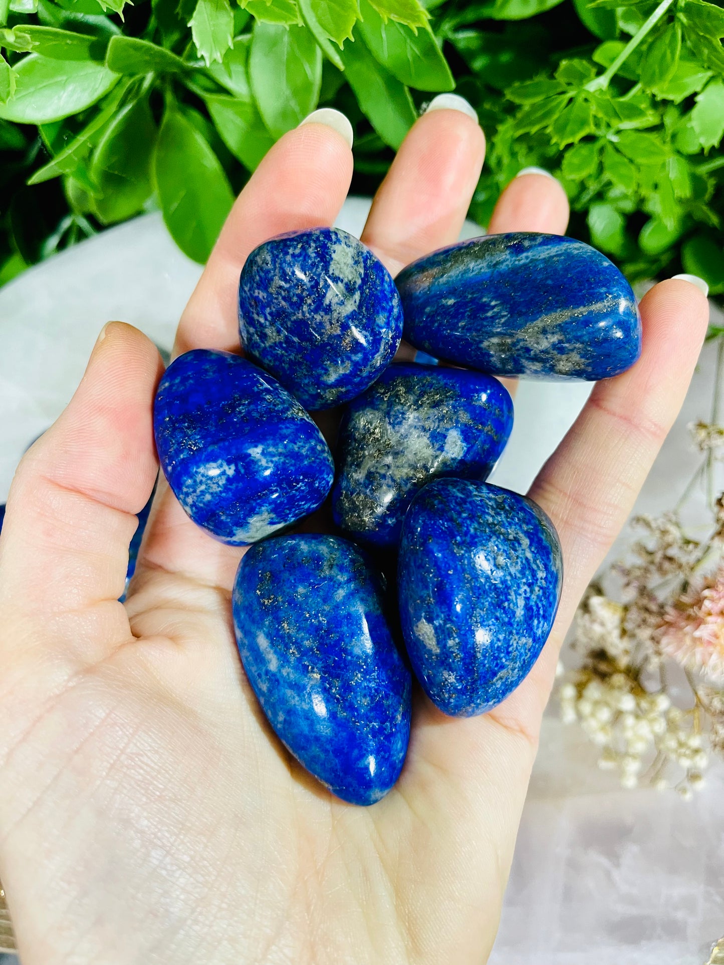 Lapis Lazuli Tumble - Large