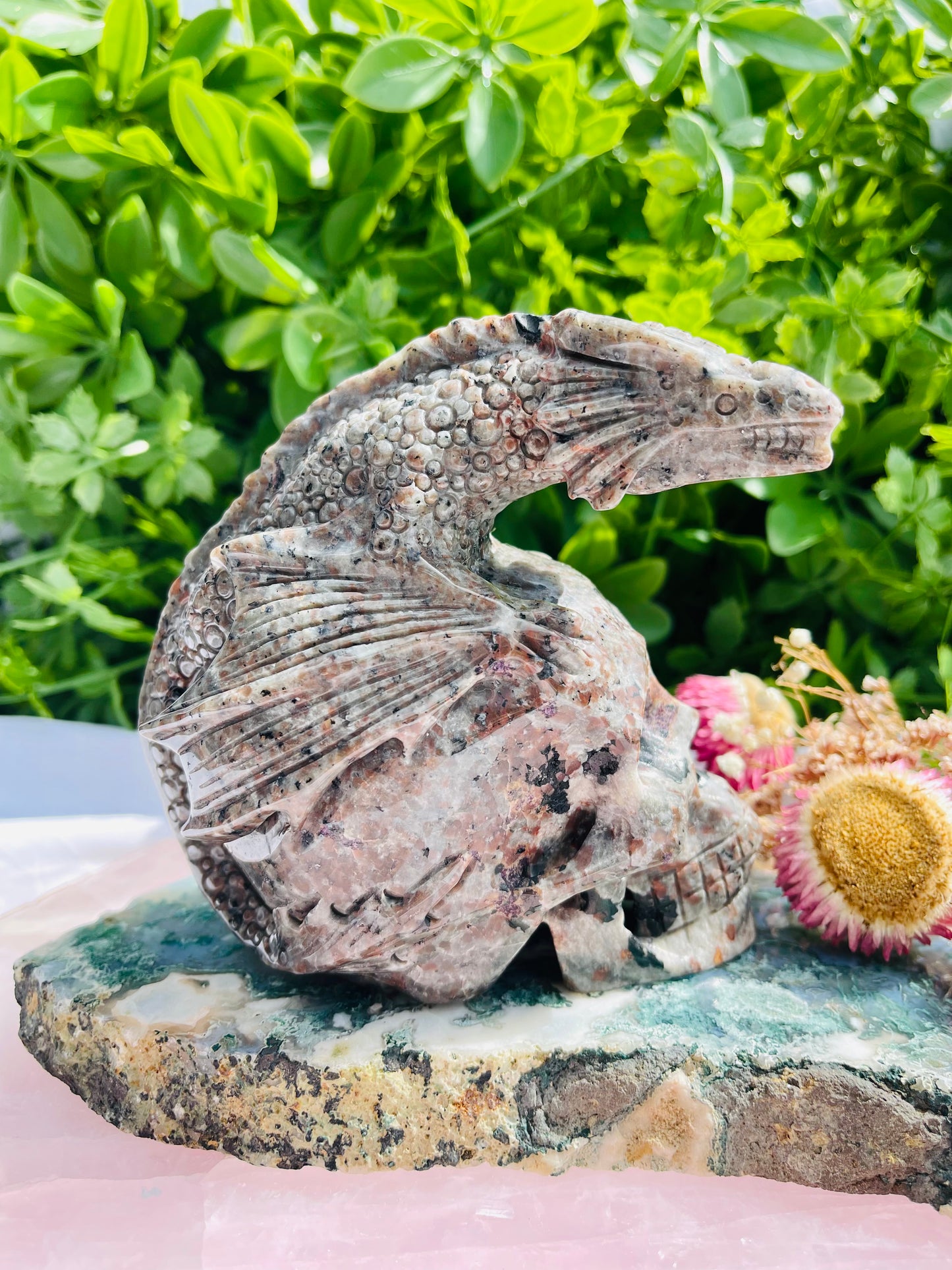 Yooperlite Skull With Dragon