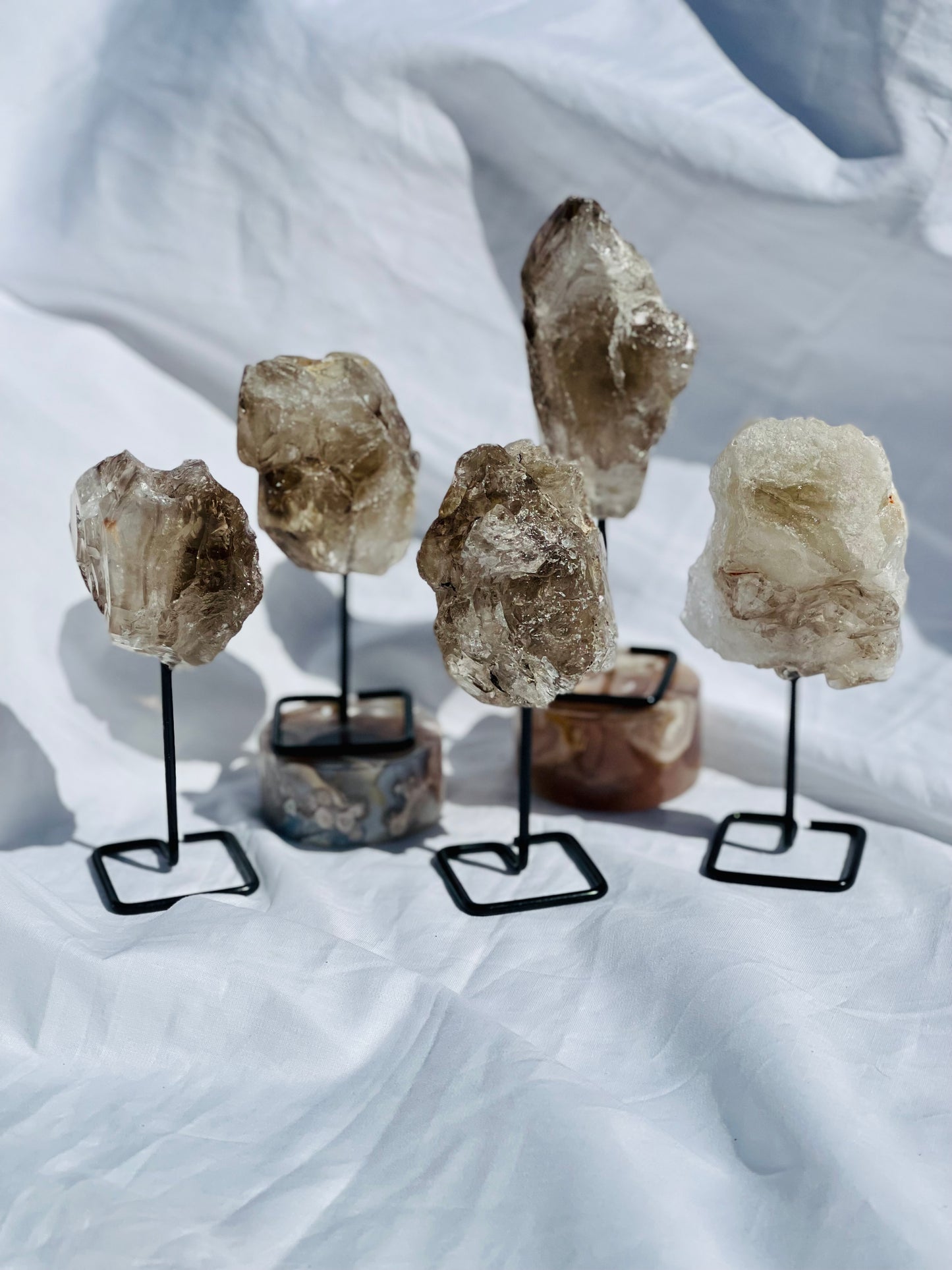 Alligator Smokey Quartz Cluster on Stand