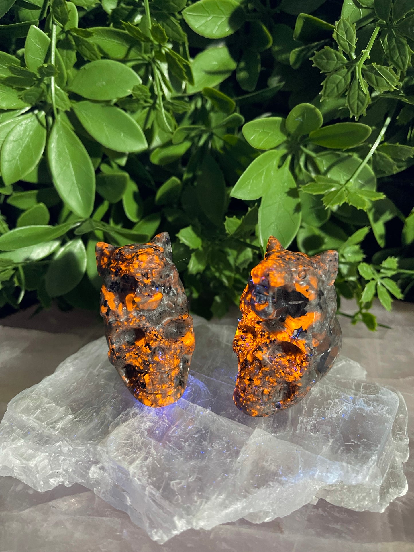 Yooperlite Skull With Bear Head