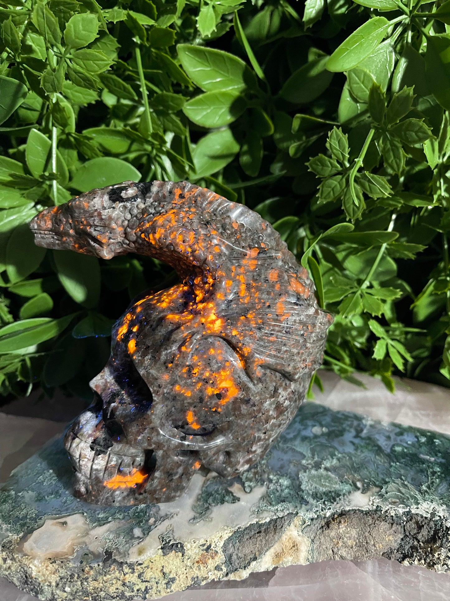 Yooperlite Skull With Dragon