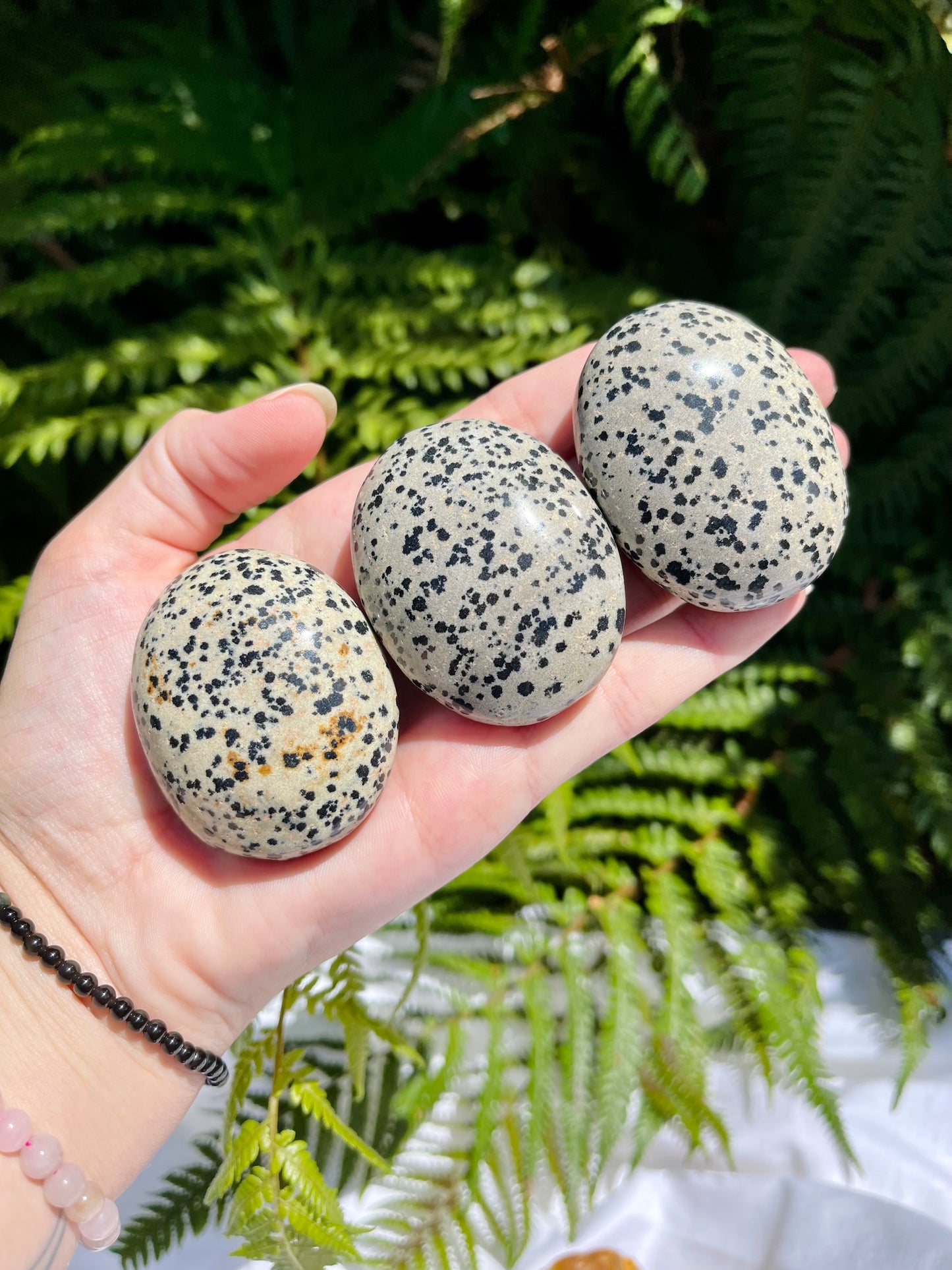 Dalmatian Jasper Palmstone