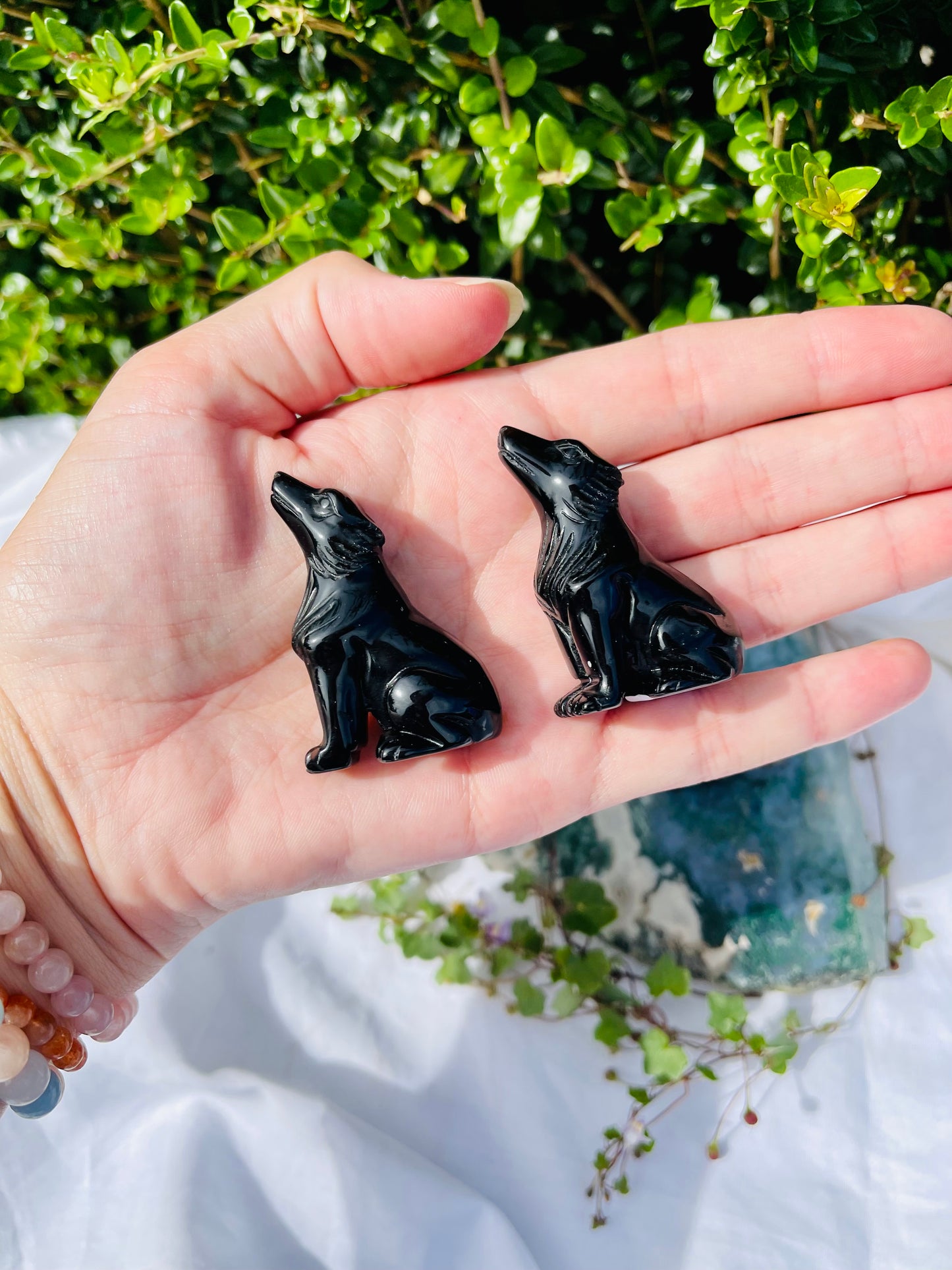 Black Obsidian Wolf