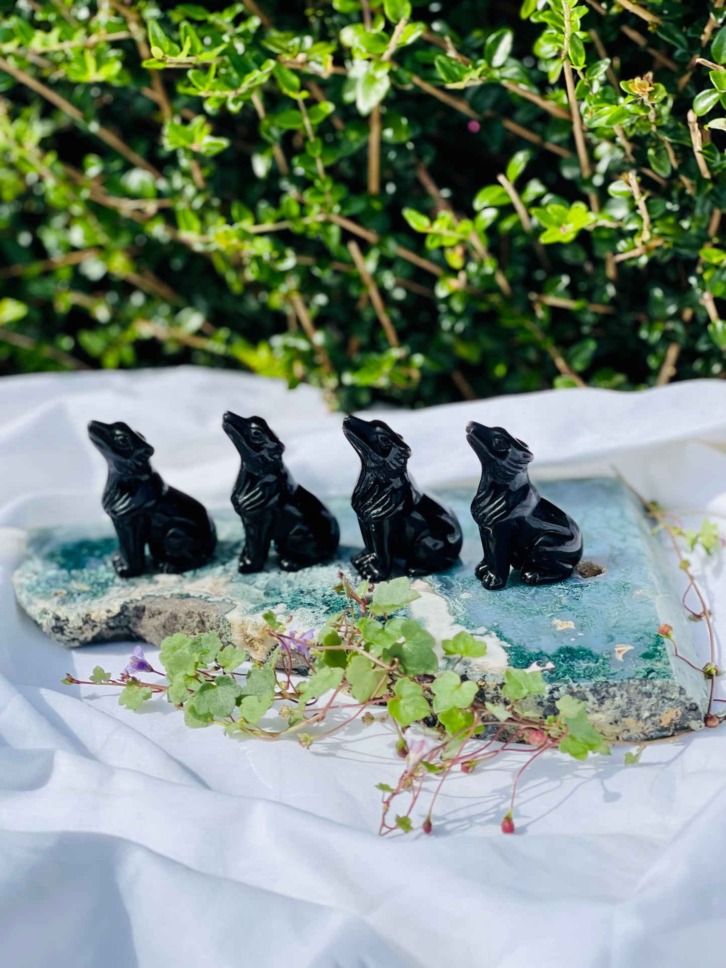 Black Obsidian Wolf