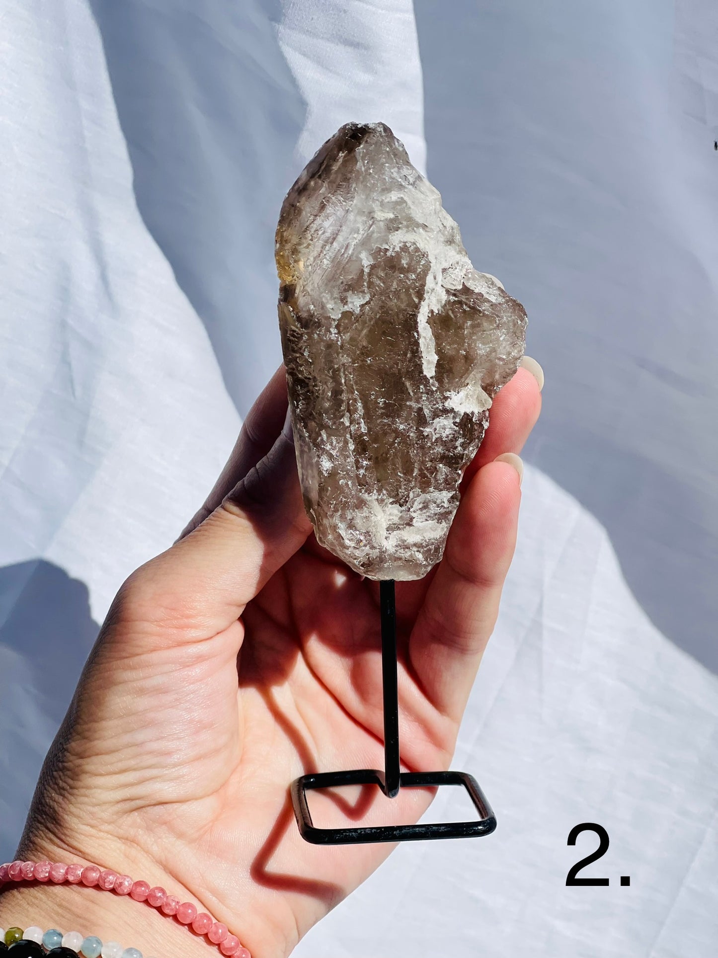 Alligator Smokey Quartz Cluster on Stand