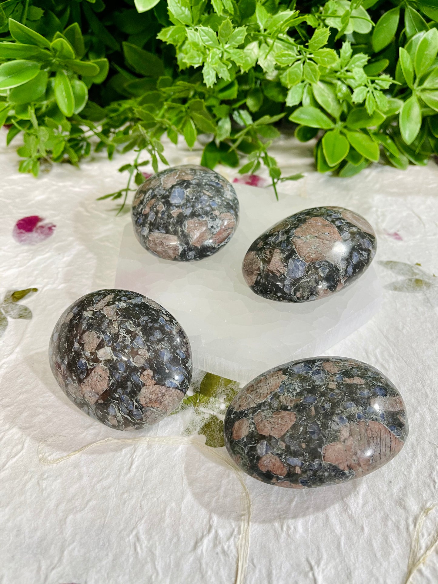 Que Sera Palmstone