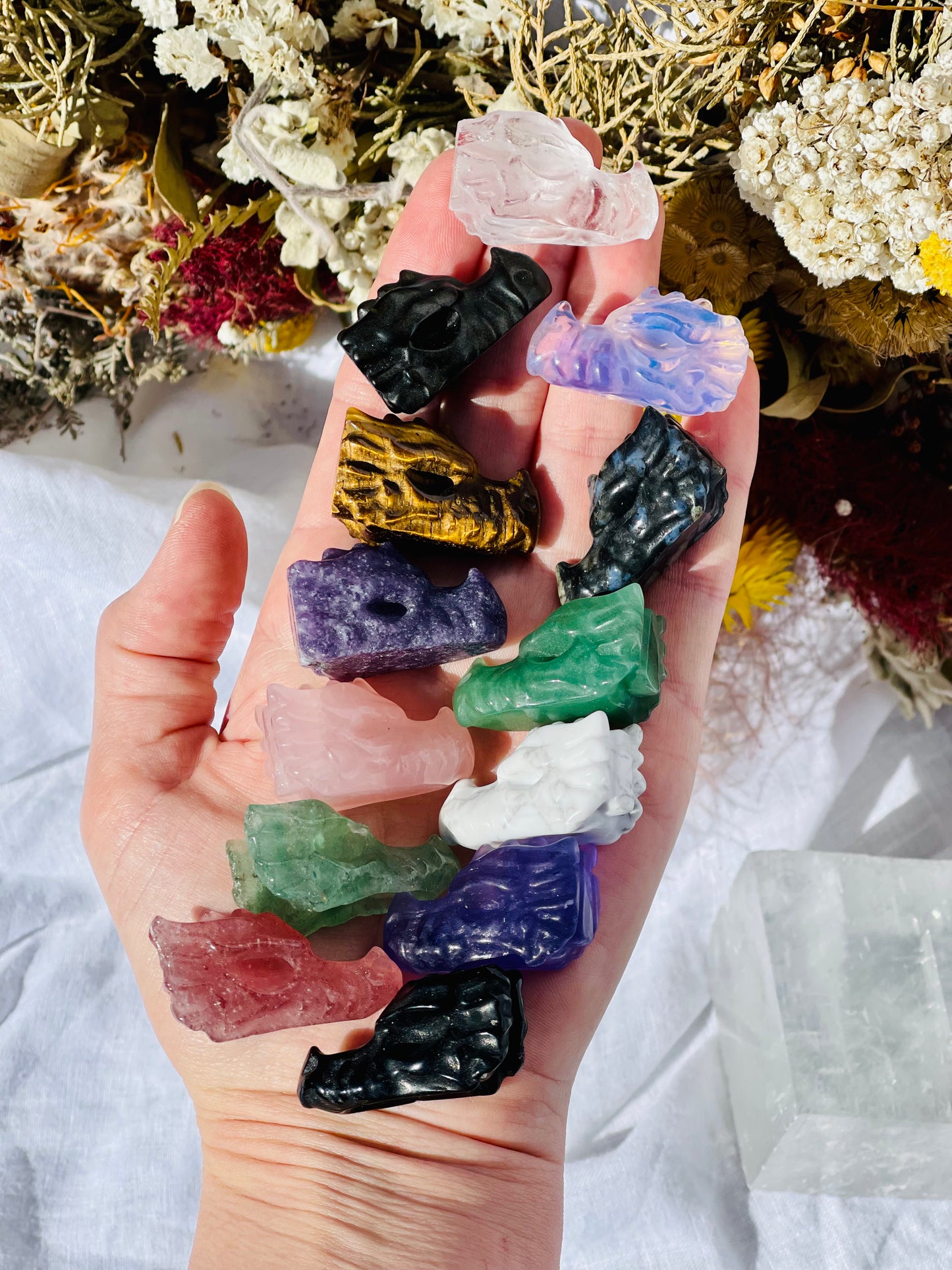Mini Dragon Head's