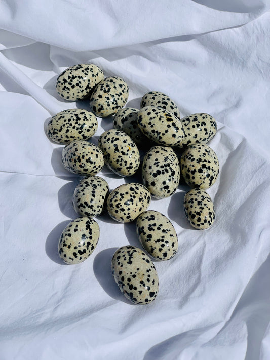 Dalmatian Jasper Tumble