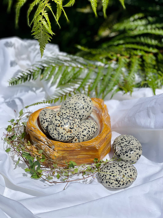 Dalmatian Jasper Palmstone