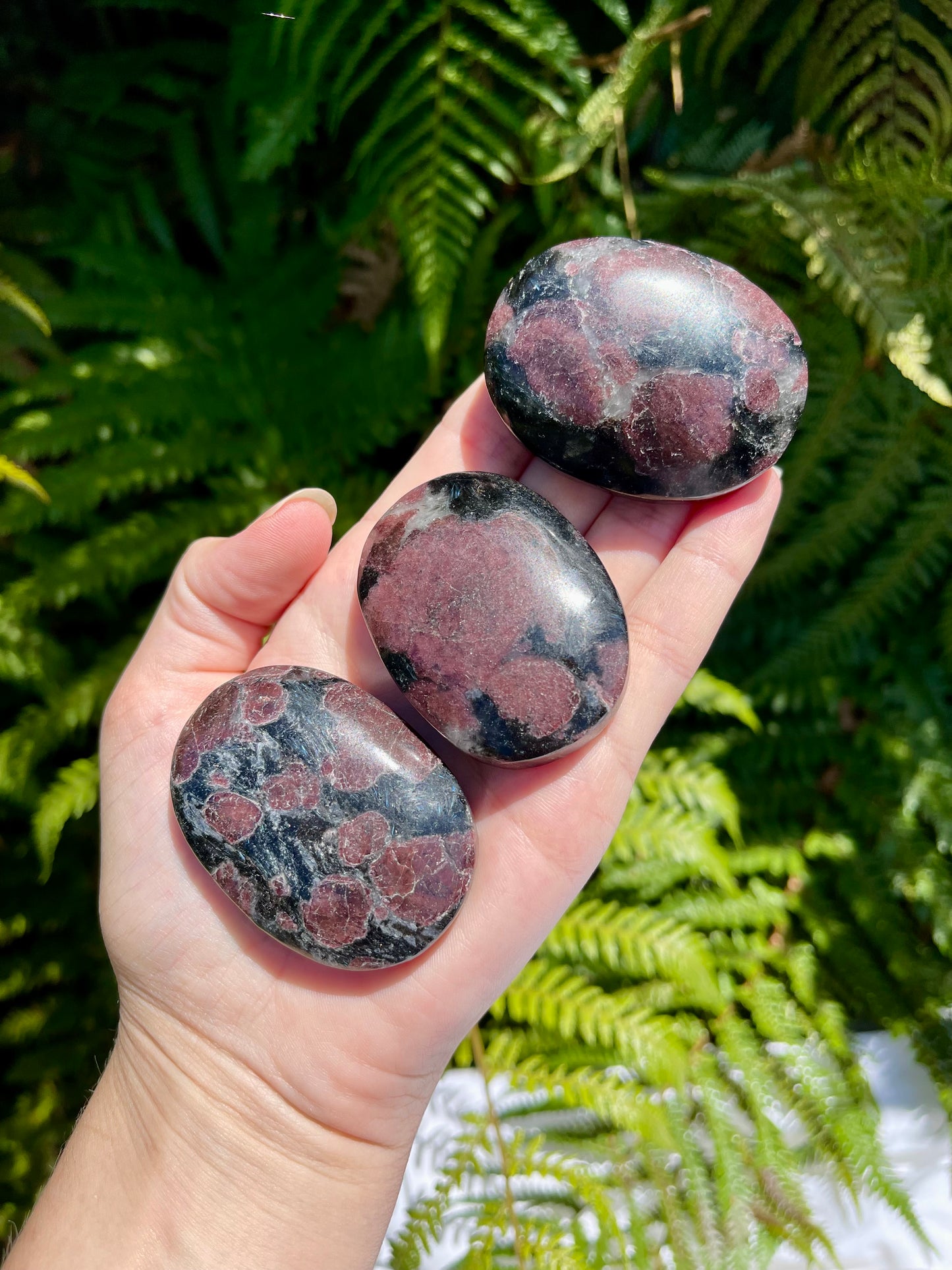 Garnet & Astrophyllite Palmstone