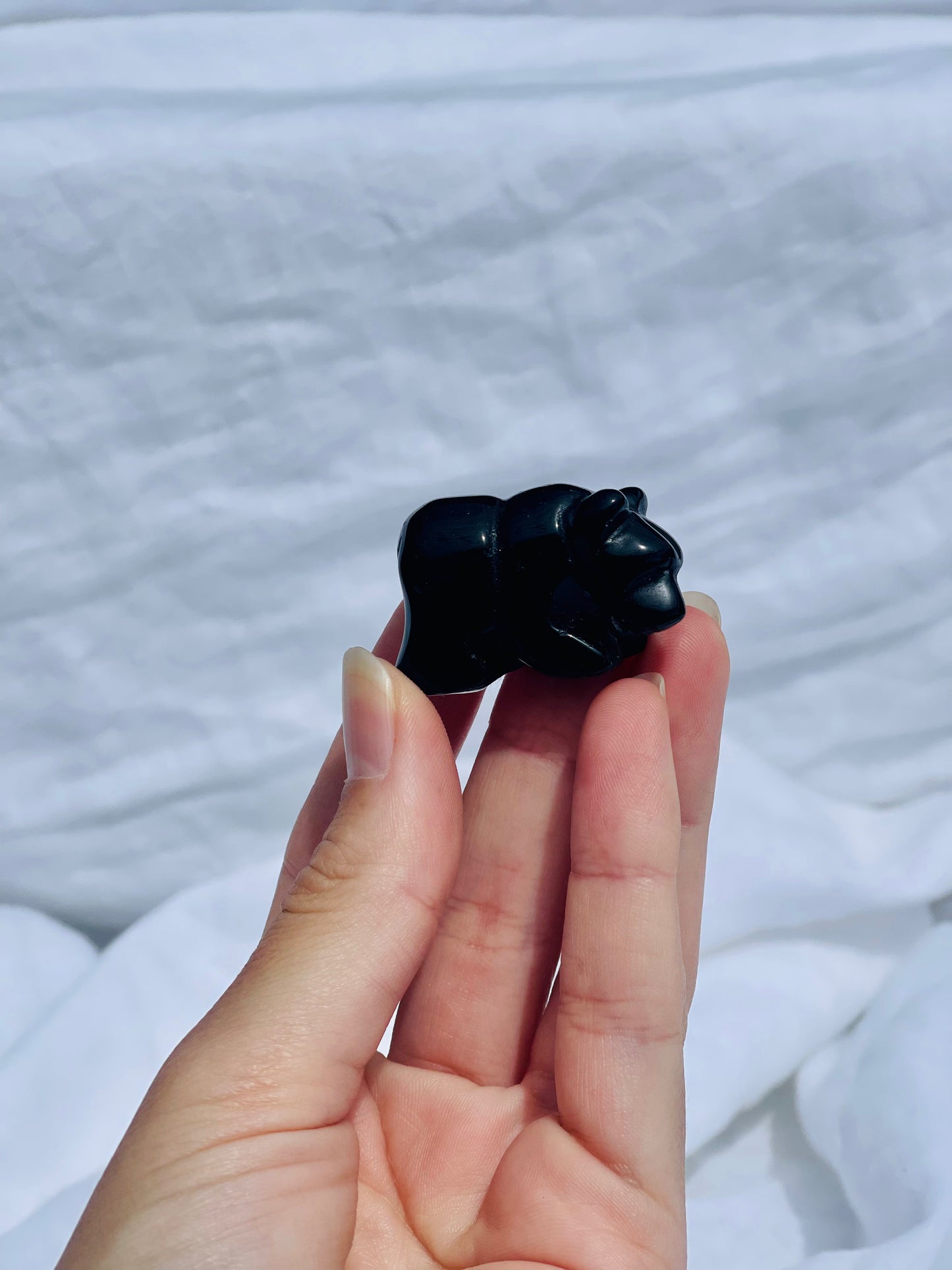 Black Obsidian Bear