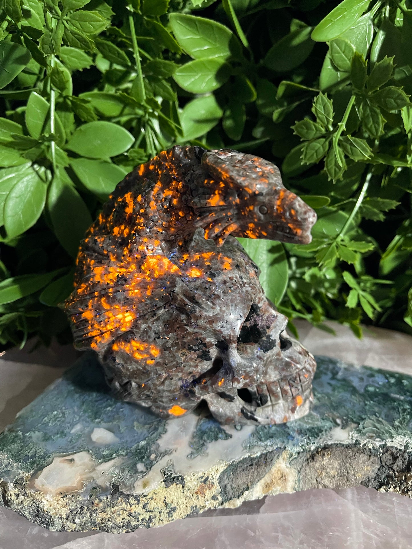 Yooperlite Skull With Dragon