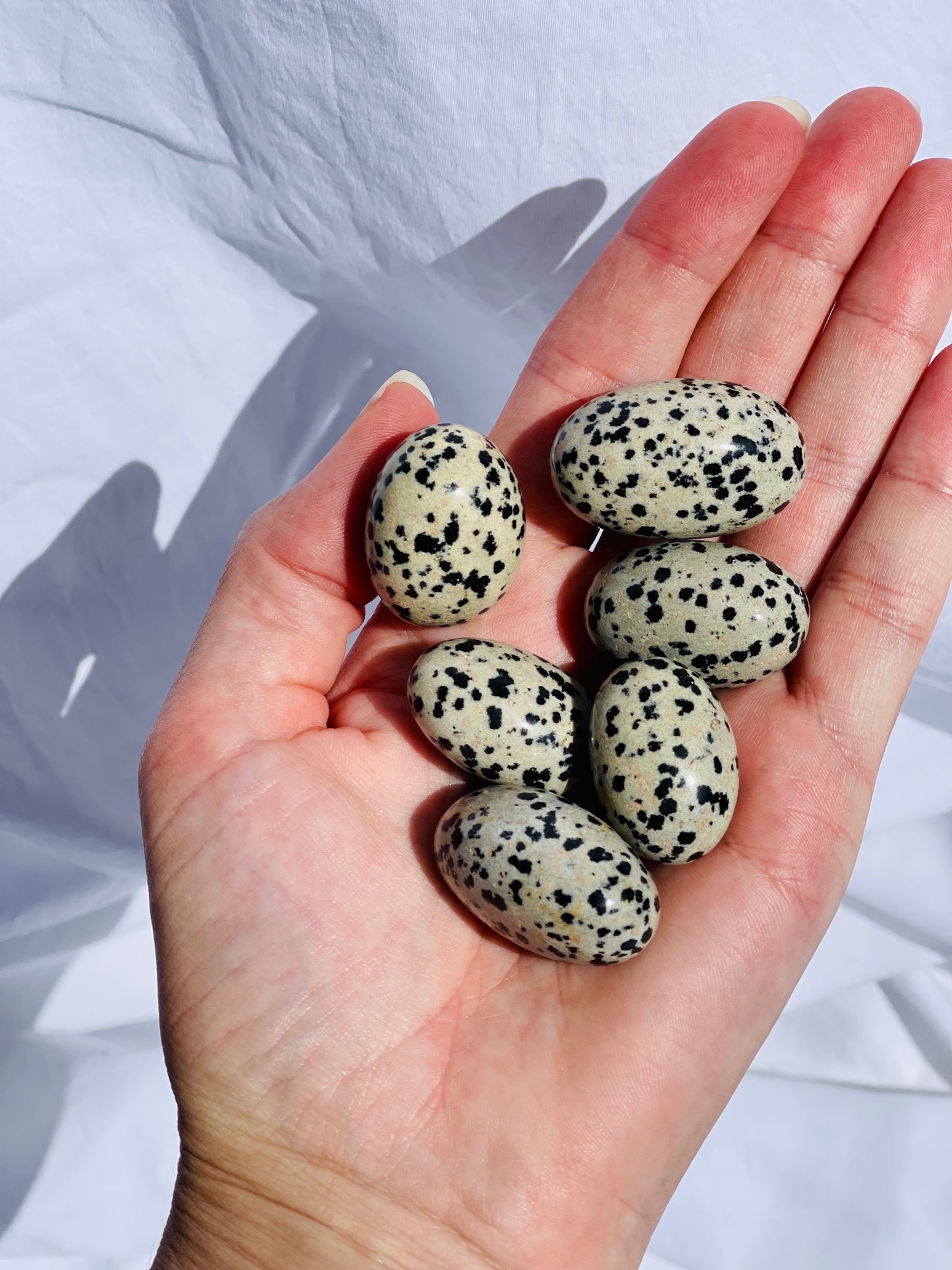 Dalmatian Jasper Tumble