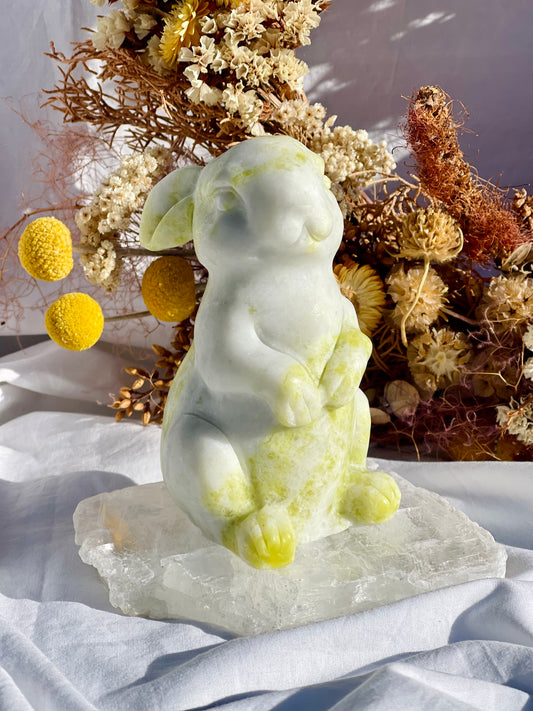 Lemon Jade Bunny