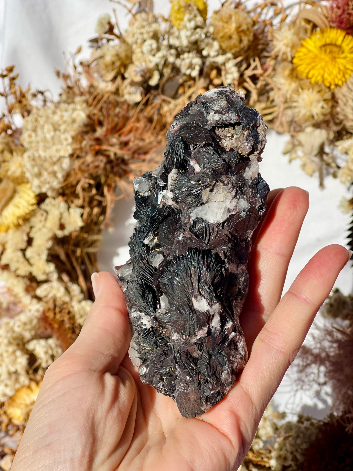 Black Rose Specularite With Quartz #2