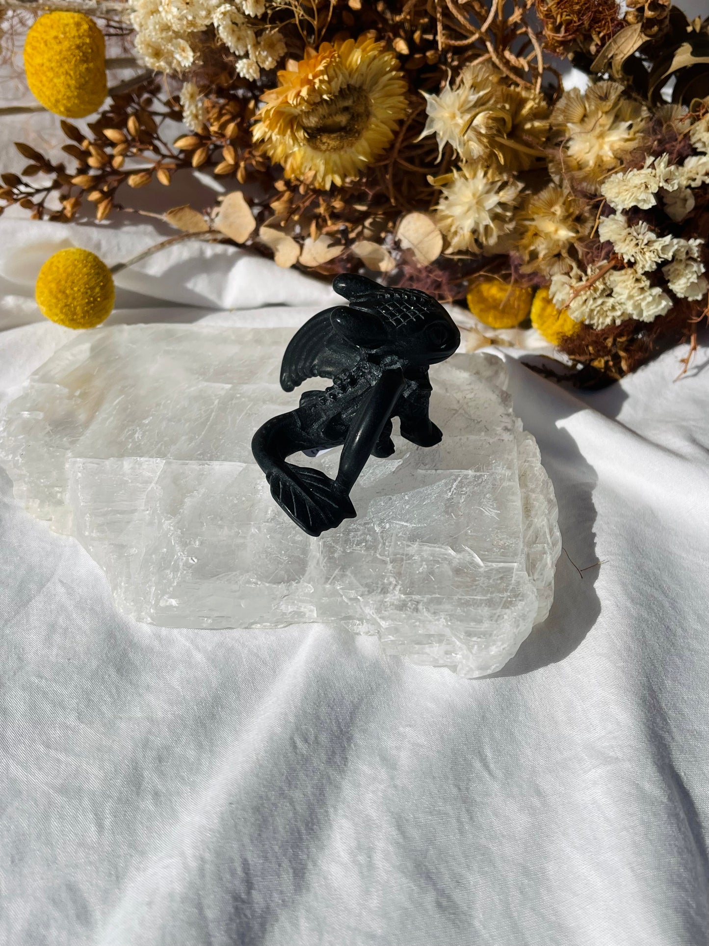 Black Obsidian Toothless Dragon