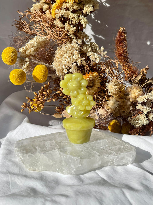 Lemon Jade Flower Pot