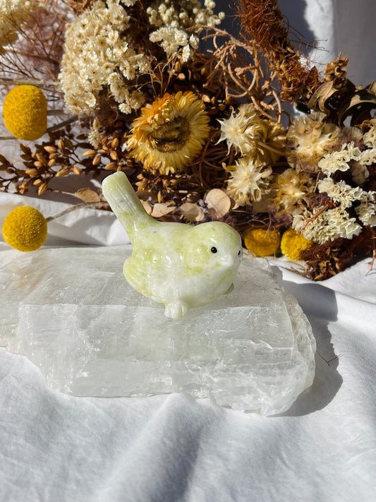 Lemon Jade Bird B