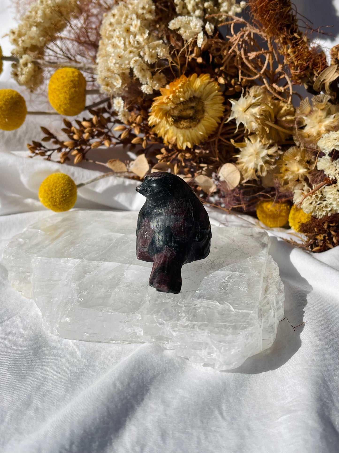 Garnet Astrophyllite Bird #2