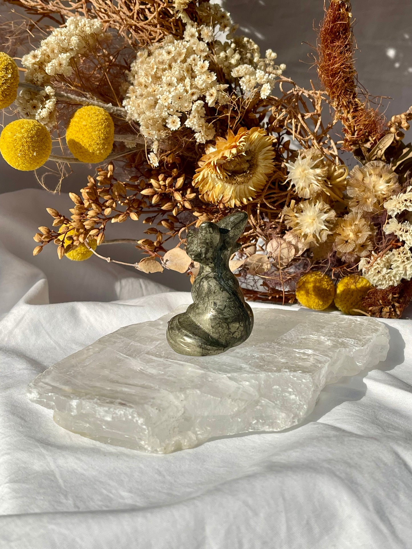 Pyrite Fox