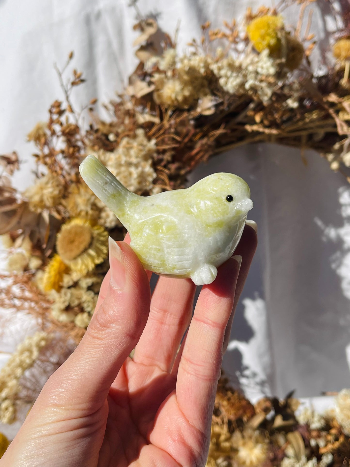 Lemon Jade Bird B