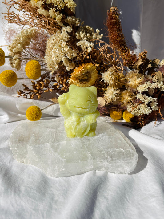 Lemon Jade Happy Cat