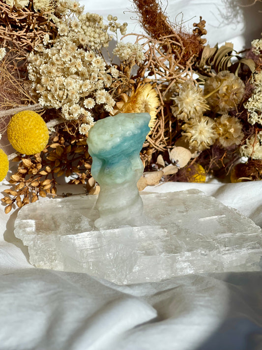 Brazilian Amazonite Squirrel #2