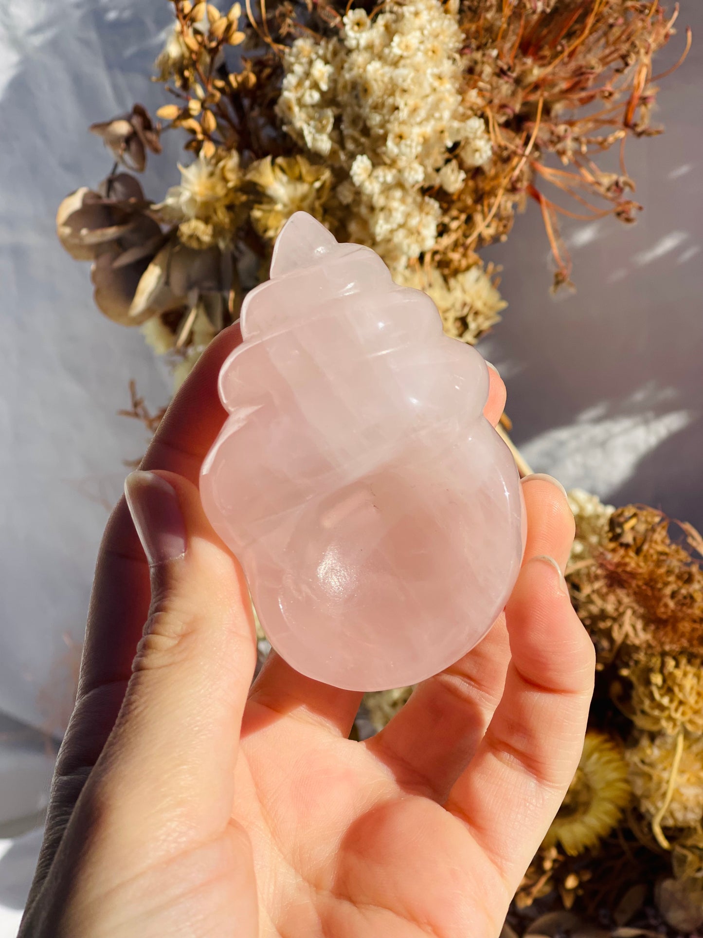 Rose Quartz Shell