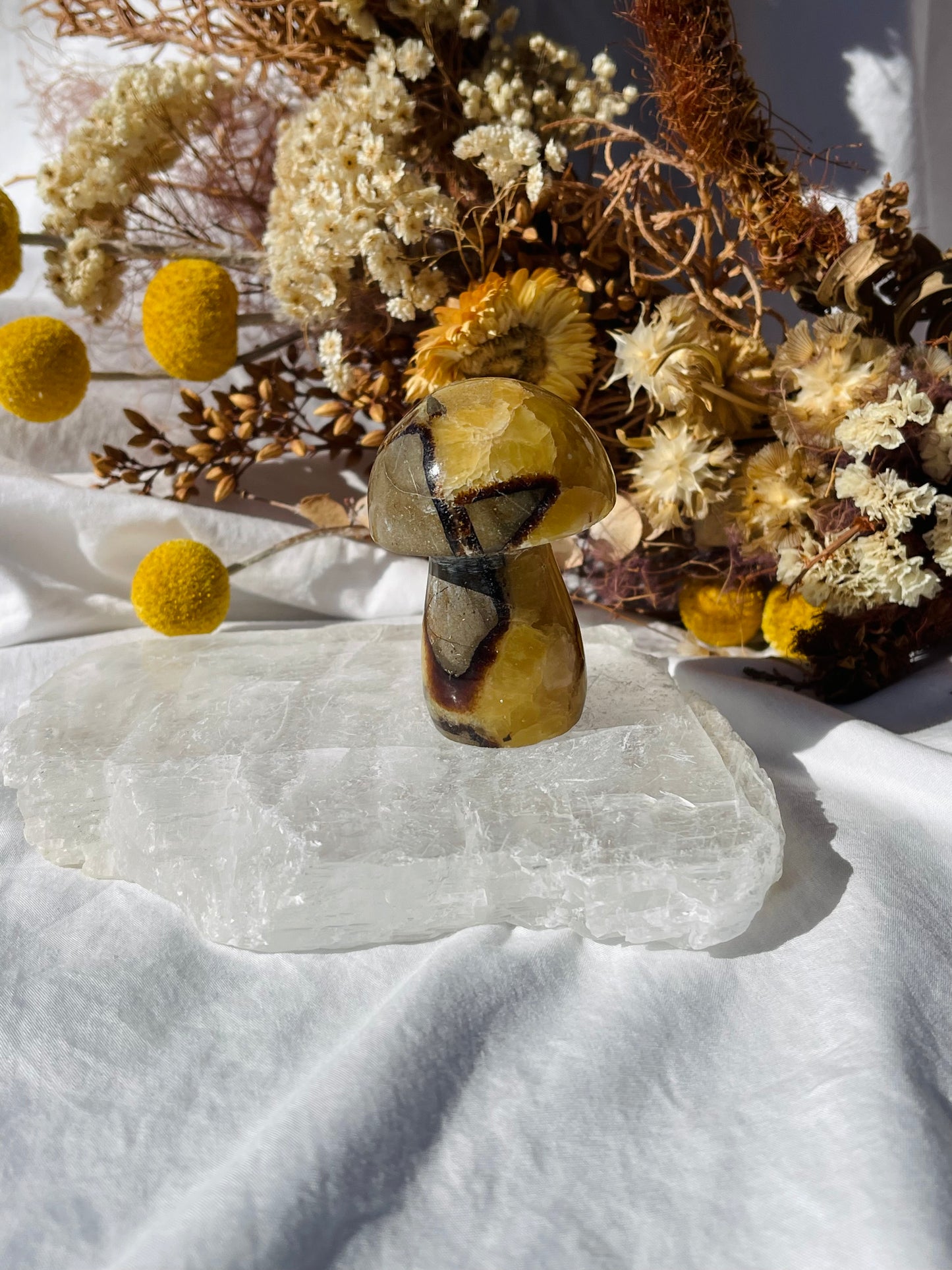 Septarian Dragonstone Mushroom