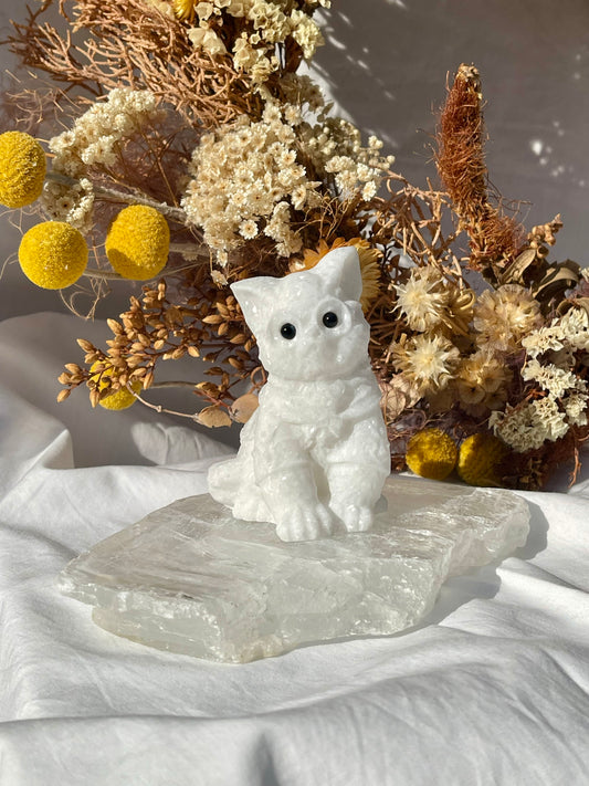 White Jade Wizard Cat