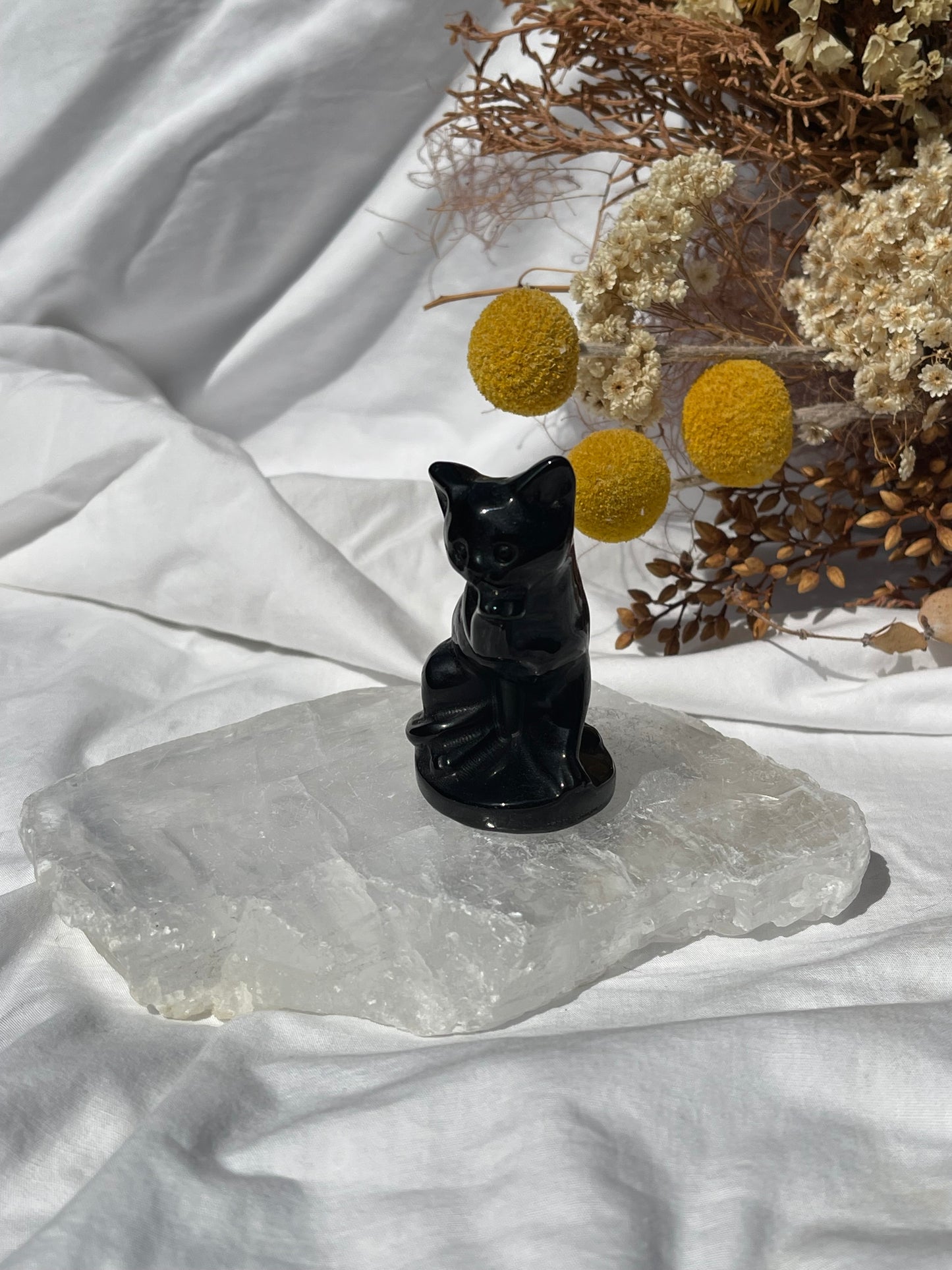 Black Obsidian Cat