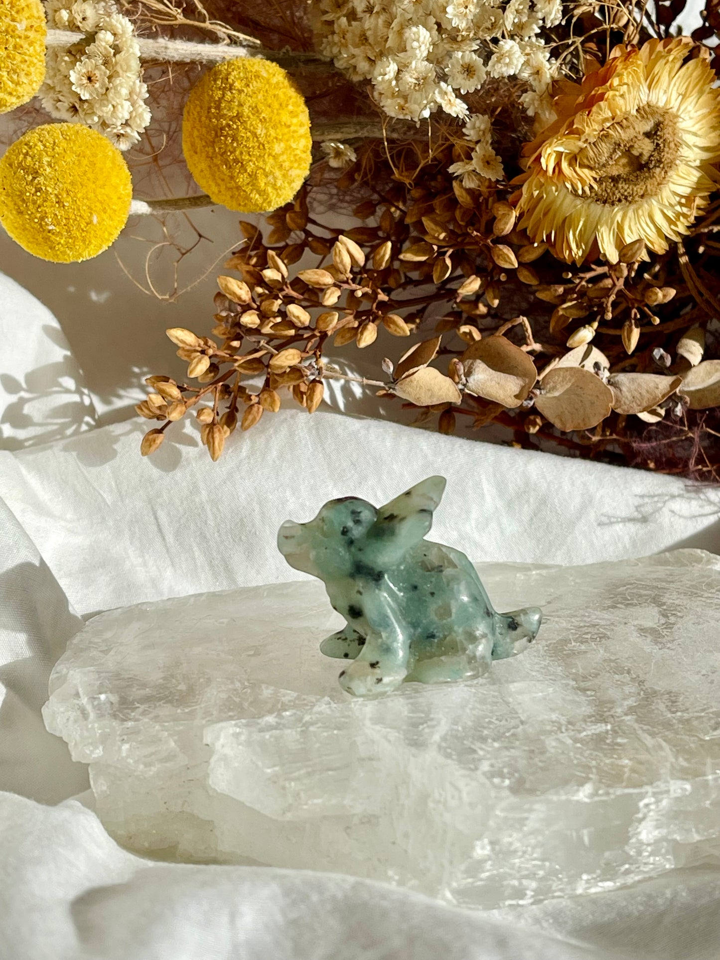 Kiwi Jasper Baby Triceratops