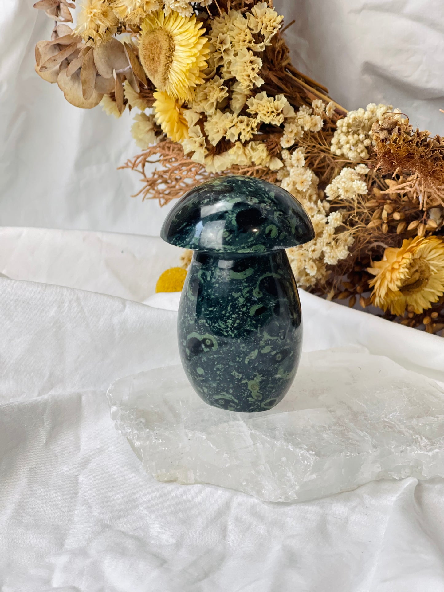 Kambaba Jasper Mushroom