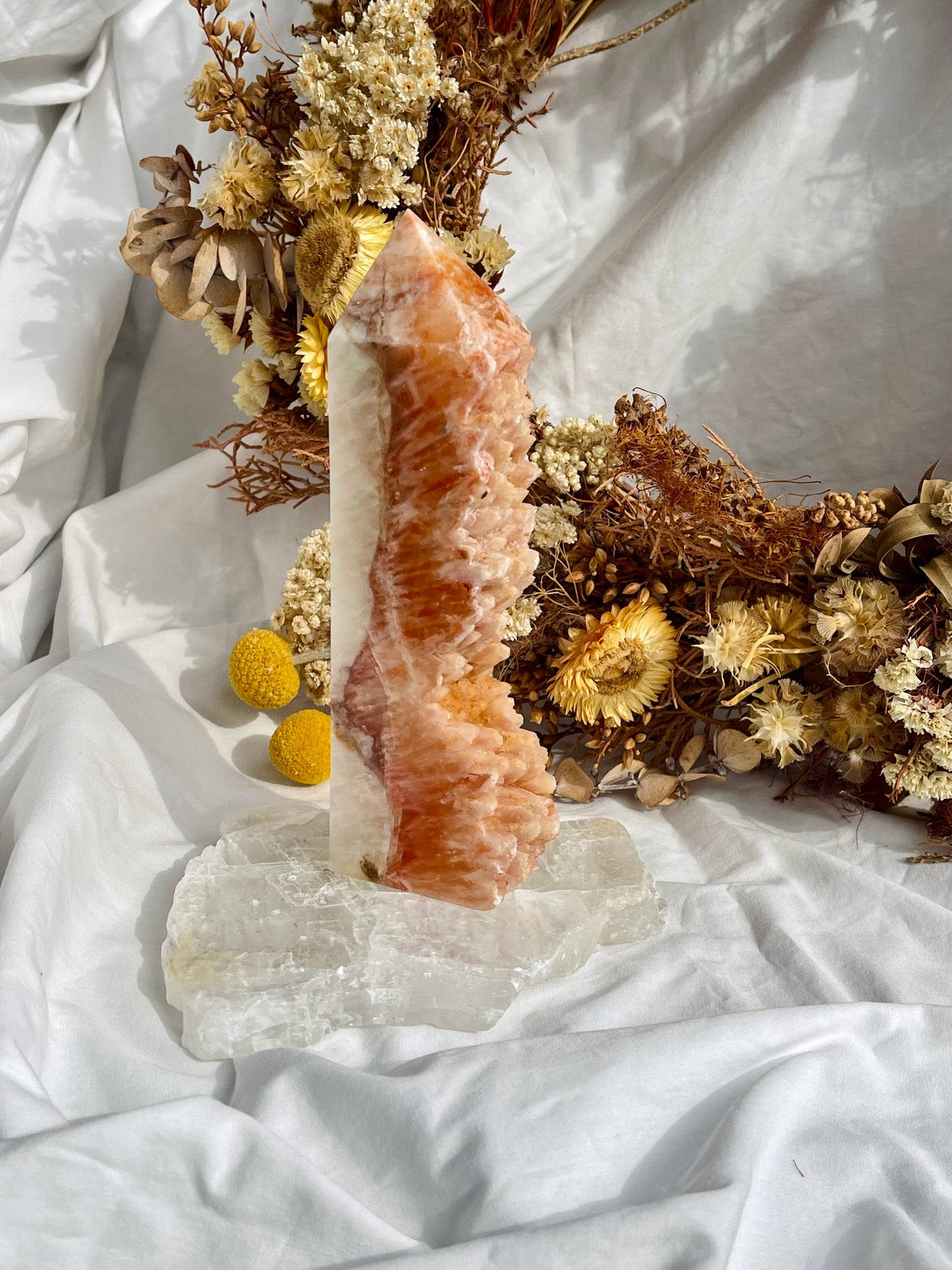Orange Dogs Tooth Calcite Point