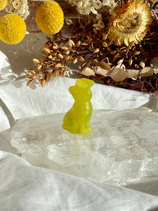 Lemon Jade Cat With Butterfly