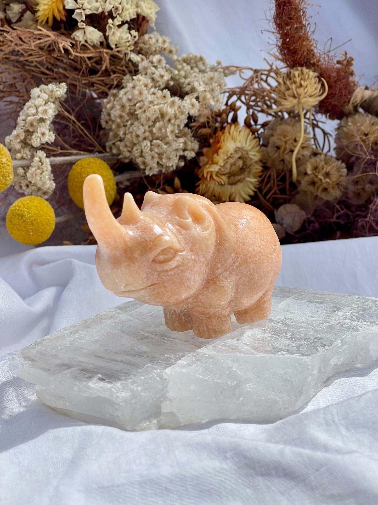 Sunstone Rhino