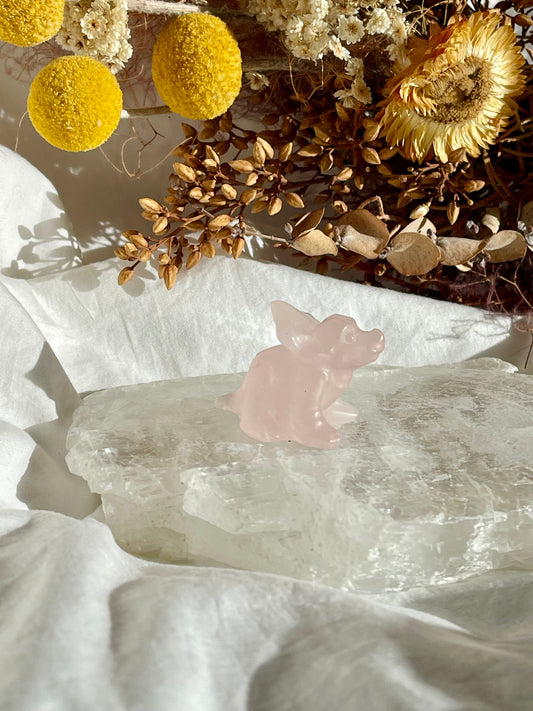 Rose Quartz Baby Triceratops