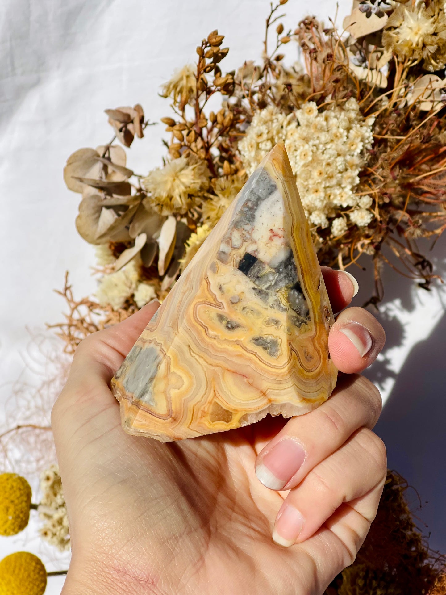 Crazy Lace Agate Point #1