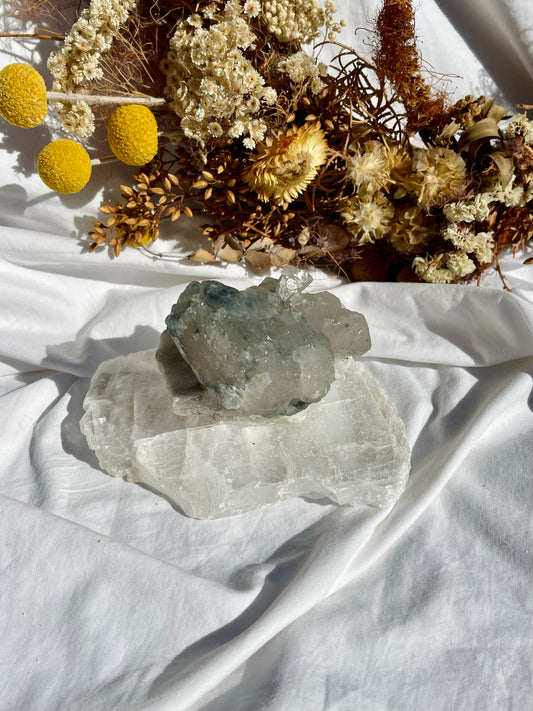 Blue Tara Quartz Specimen #1