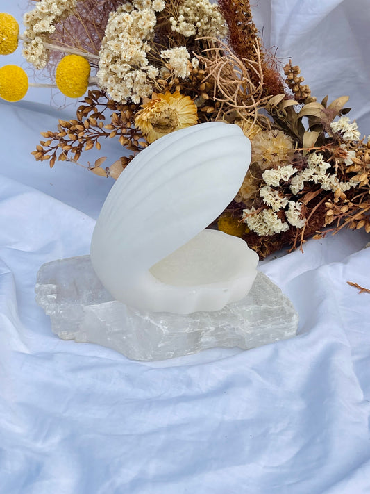 White Jade Clam Shell