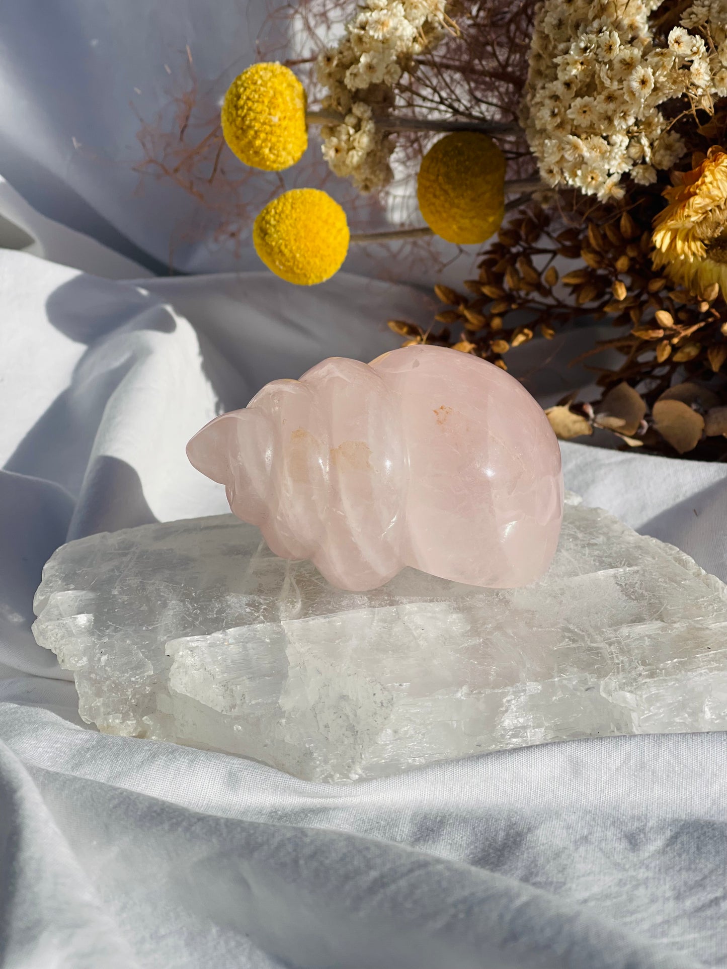 Rose Quartz Shell