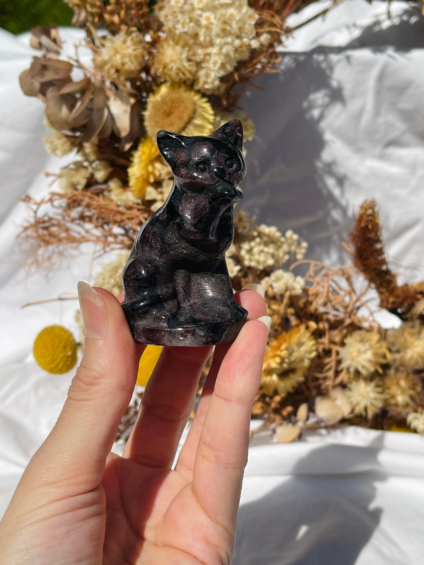 Garnet Astrophyllite Cat #2