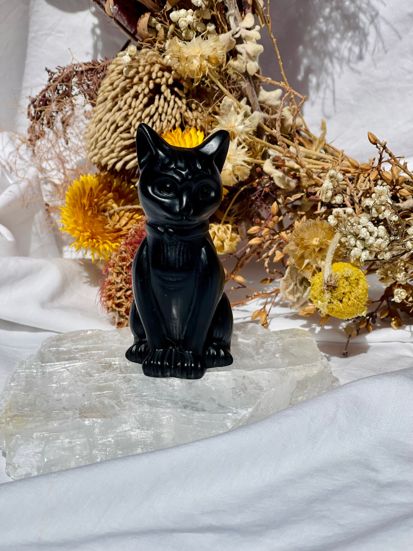 Black Obsidian Cat