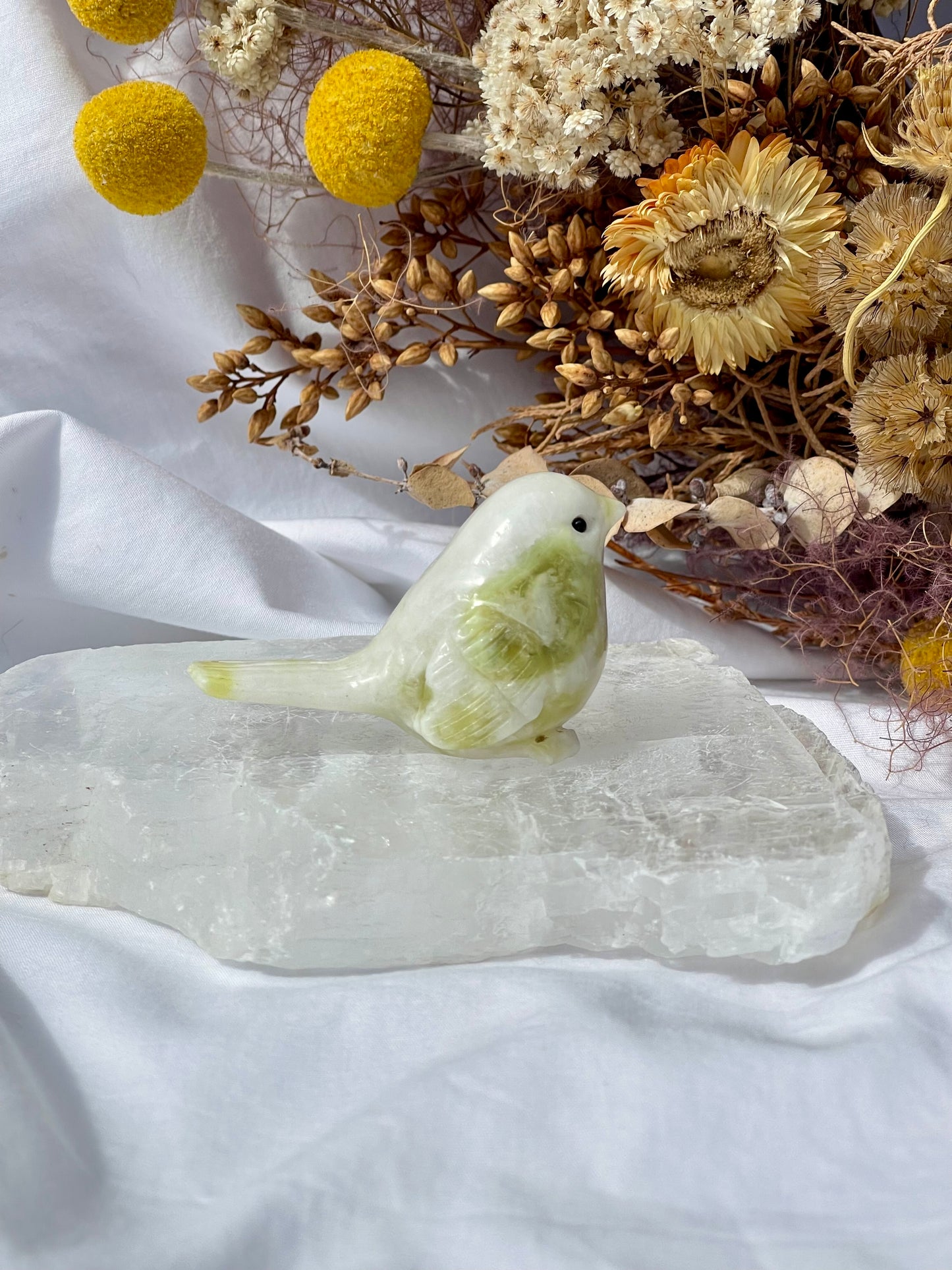 Lemon Jade Bird 4