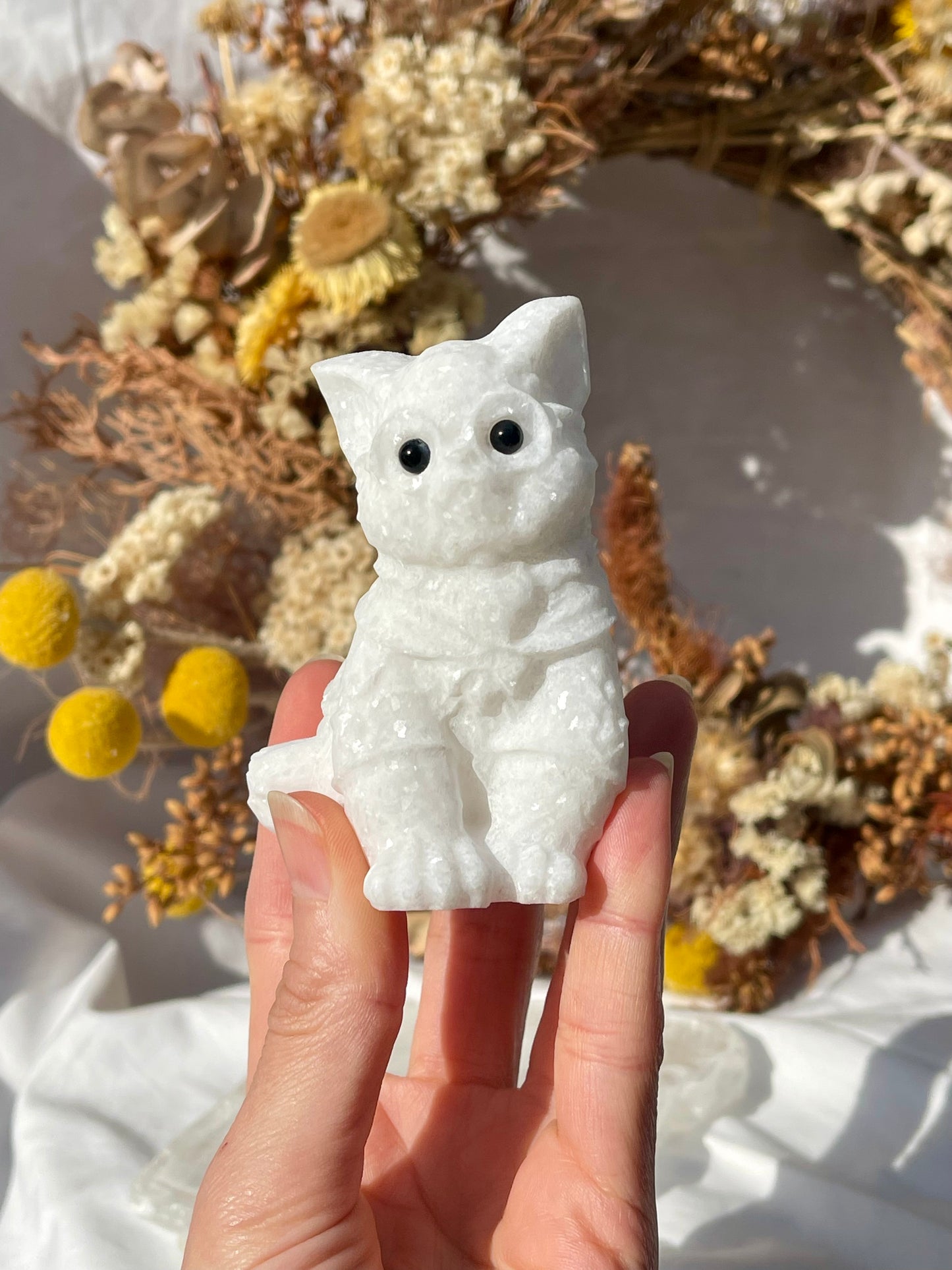 White Jade Wizard Cat